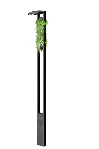 Citi View angle Plantes