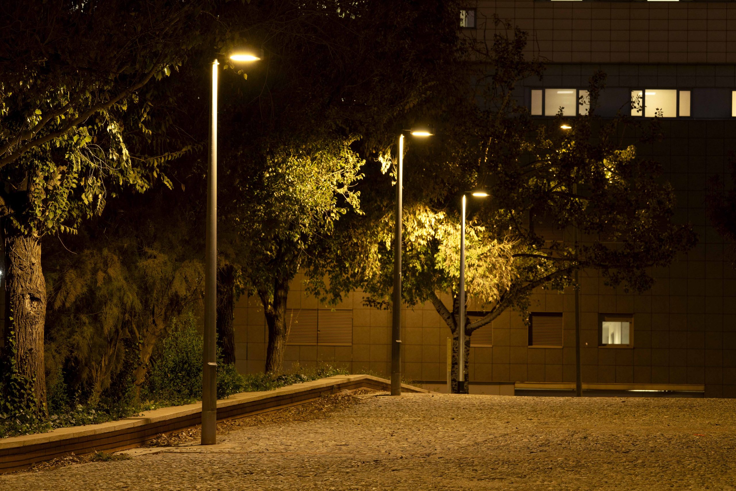 Iluminación dinámica conectada Parc del Molinet Barcelona alumbrado Carandini