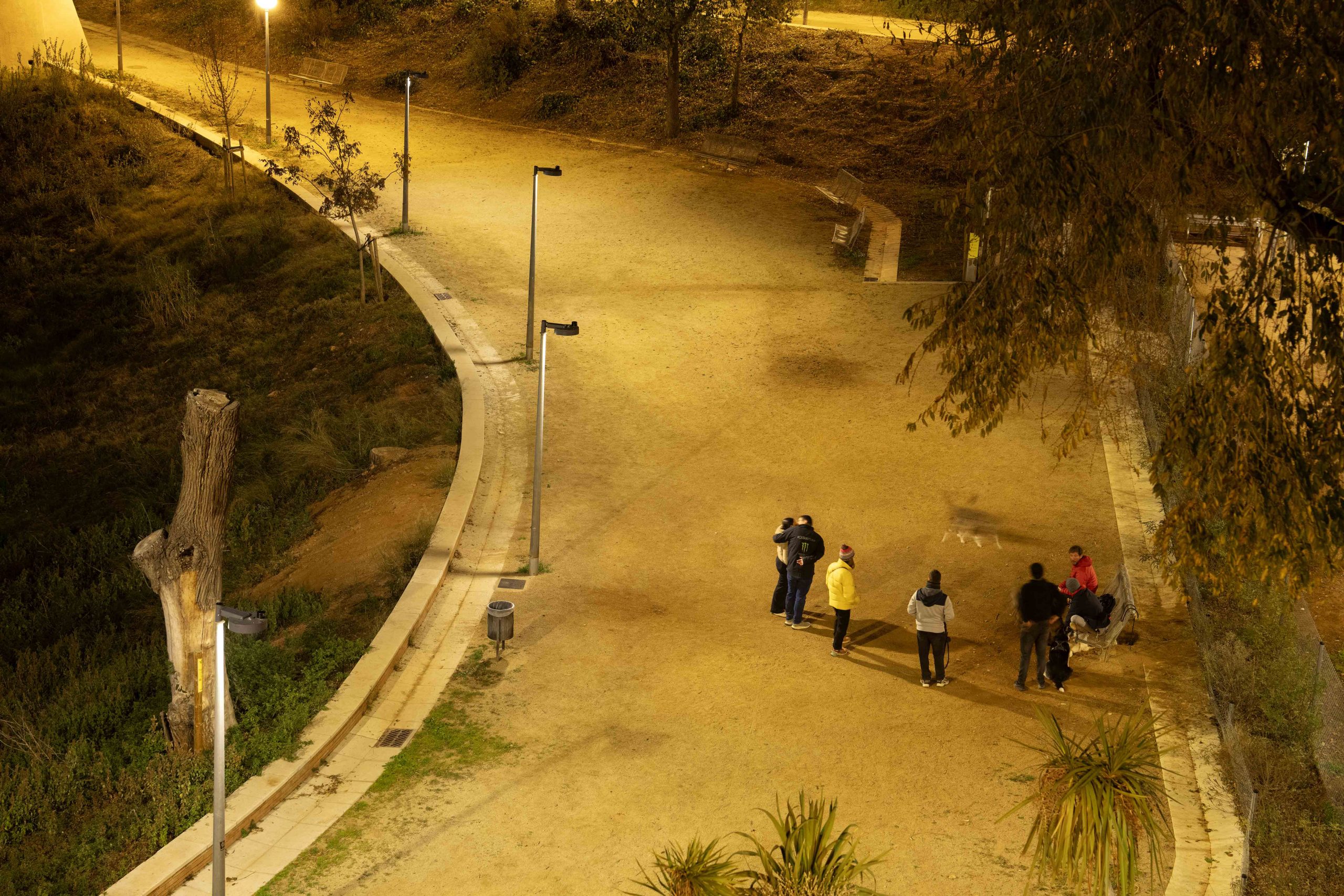 Iluminación dinámica conectada Parc del Molinet Barcelona alumbrado Carandini8
